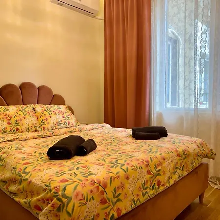 Apartment 2 Bedrooms On Vitosha Boulevard *